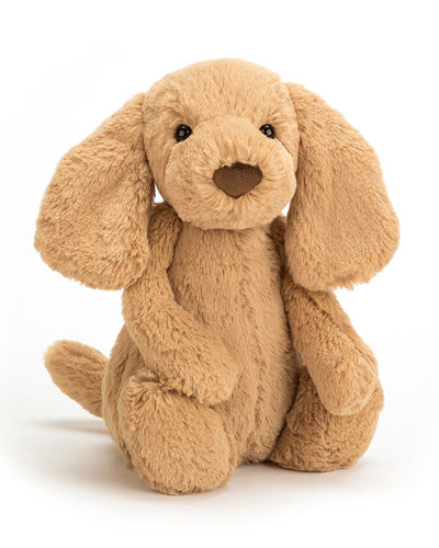 A plush Jellycat Bashful Toffee Puppy sitting upright with soft, toffee-colored fur, floppy ears, a round brown nose, and black bead eyes. Its slightly tilted head and cuddly shape give it an endearing expression.