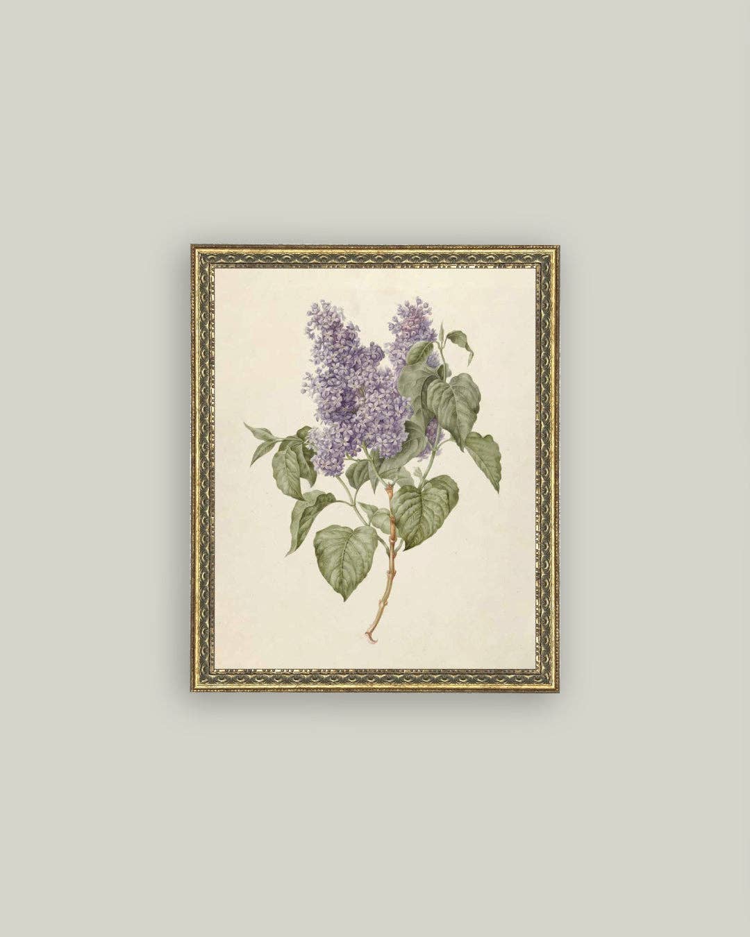 Lilac Branch Framed Antique Art - 5x7
