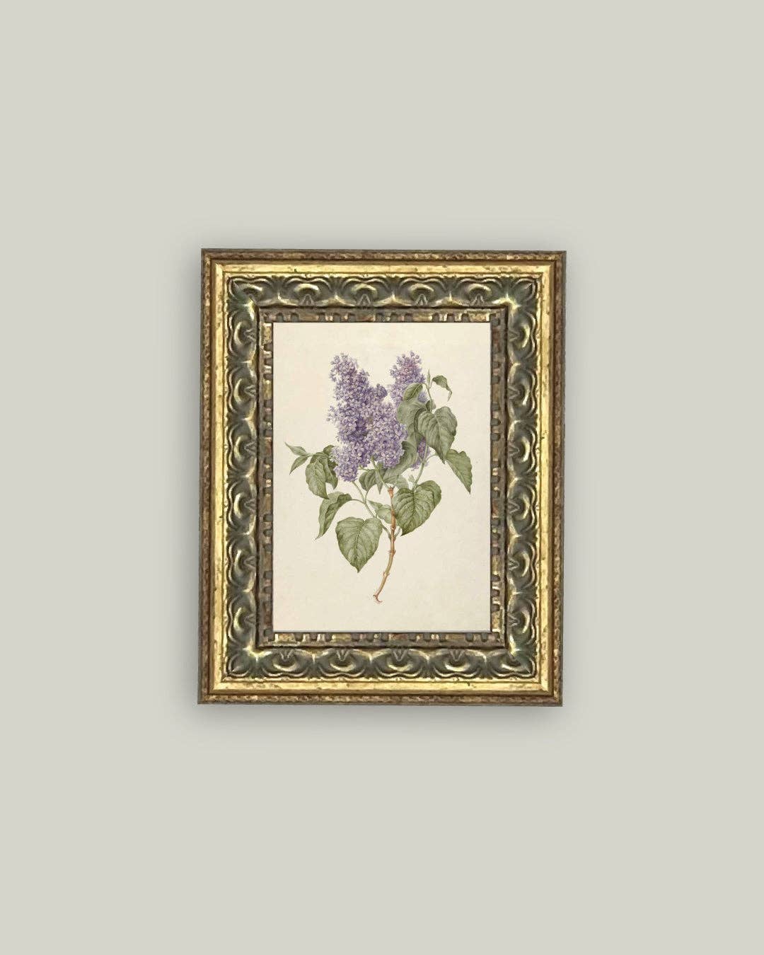 Lilac Branch Framed Antique Art - 5x7
